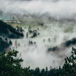 Was ist los in Gumpoldskirchen?